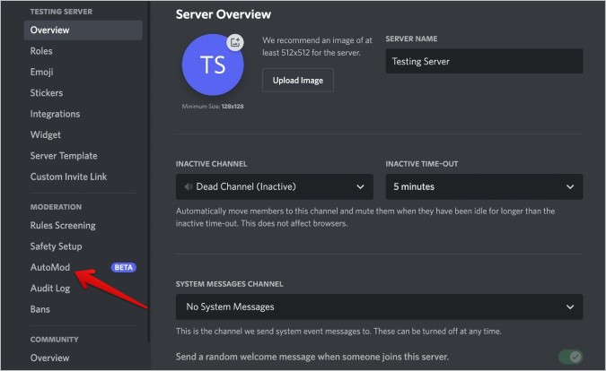 Опция AutoMod в Discord