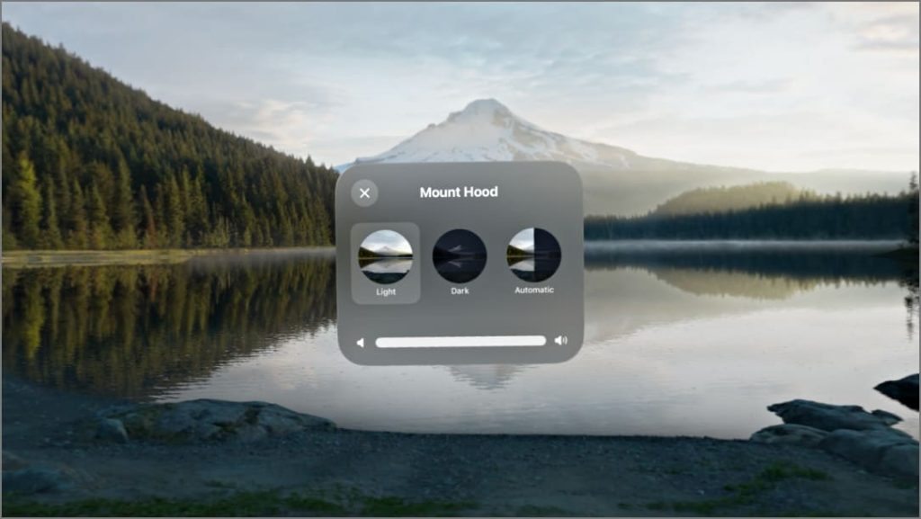 Параметры светлого, темного и автоматического внешнего вида для сред в Apple Vision Pro