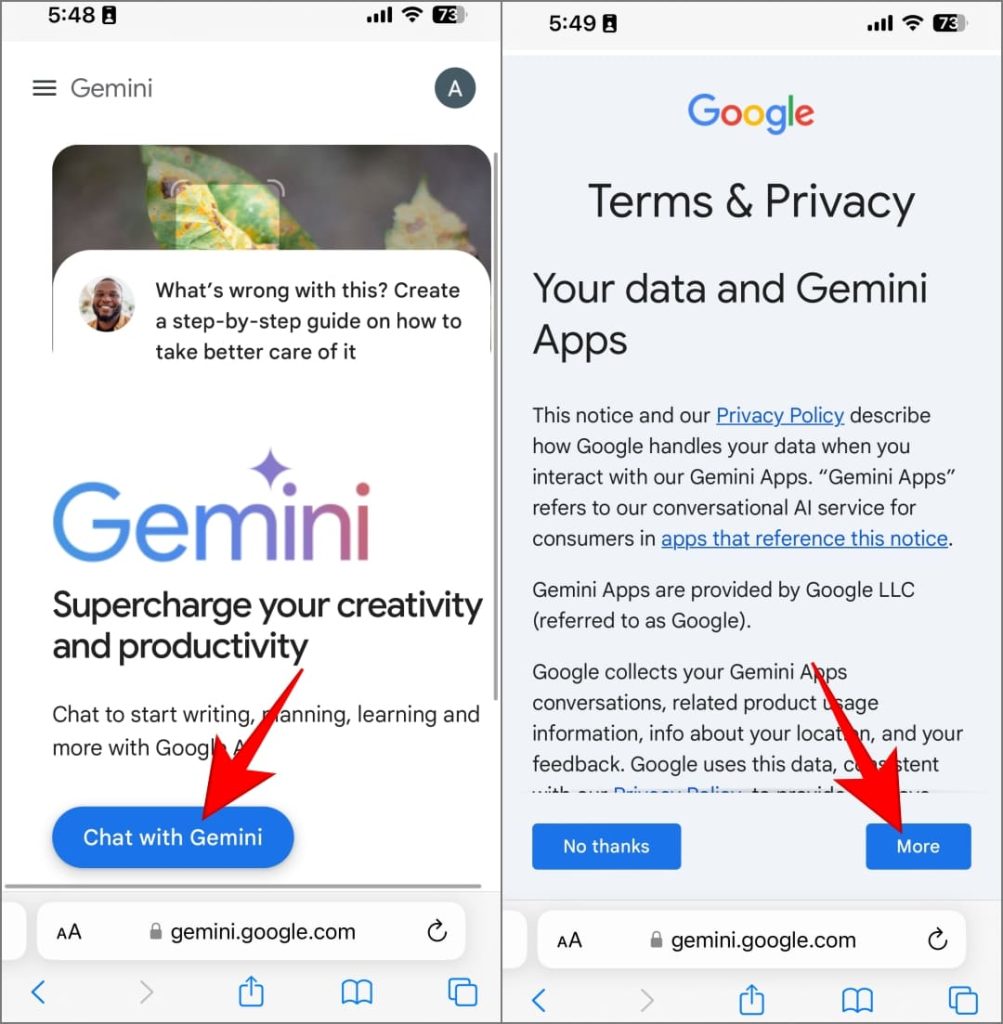 Веб-приложение Gemini на iPhone