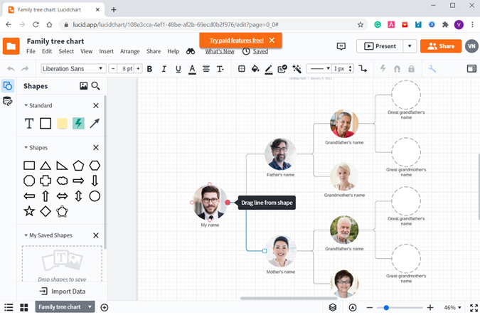 Макет приложения Lucid Family Tree Maker