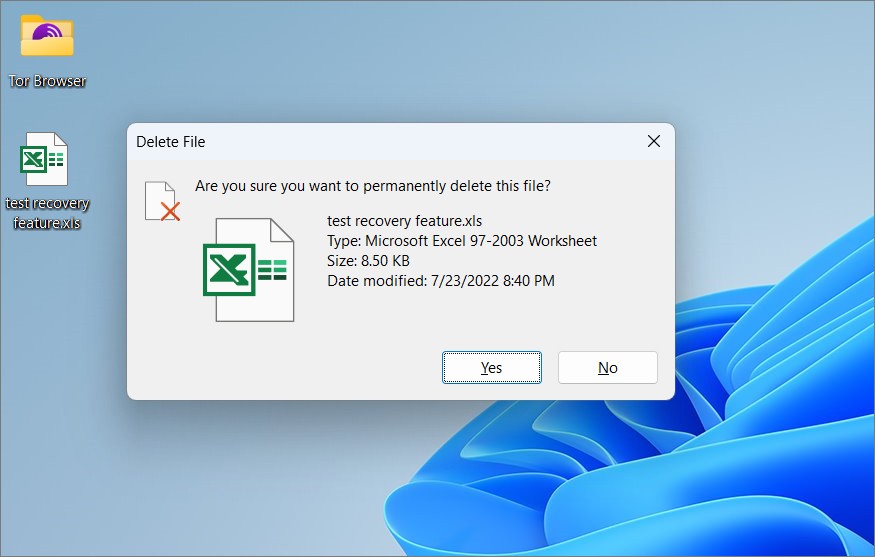 удалите файл Excel, чтобы протестировать программное обеспечение Recoveryit