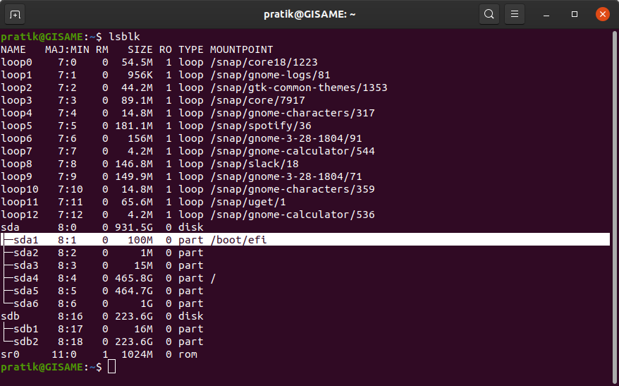 lsblk-command-displaying-windows-efi-file-location