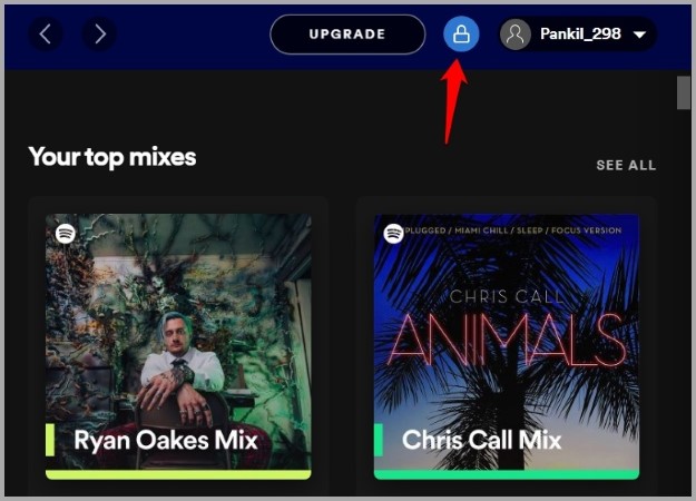 Частный сеанс Spotify в Windows