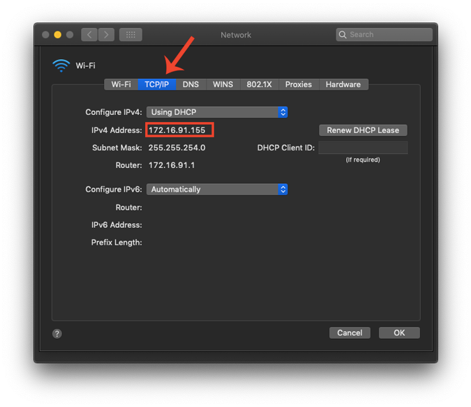 TCP_IPTab_NetworkSettings