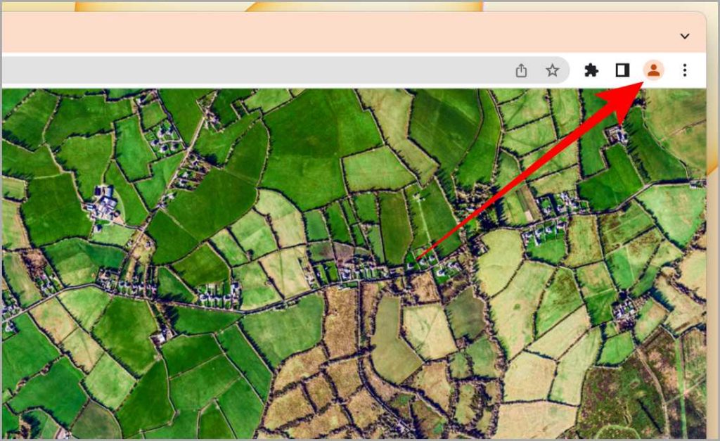 Нажатие на значок пользователя в браузере Chrome
