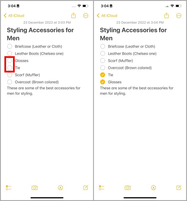Отметка пунктов из контрольного списка в приложении «Заметки» на iPhone