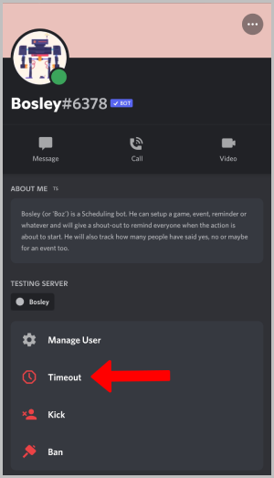 тайм-аут пользователя на Discord Mobile
