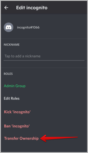 Передача права собственности другому пользователю на сервере Discord