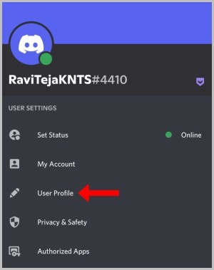 Опция «Профиль пользователя» на Discord Mobile