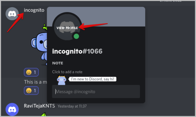 Просмотр профиля в Discord