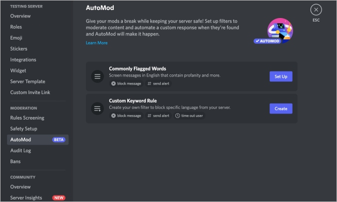 Опция AutoMod в Discord