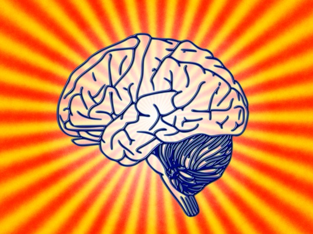 [изображение] Пройдите онлайн-тест на определение личности, чтобы понять свой мозг