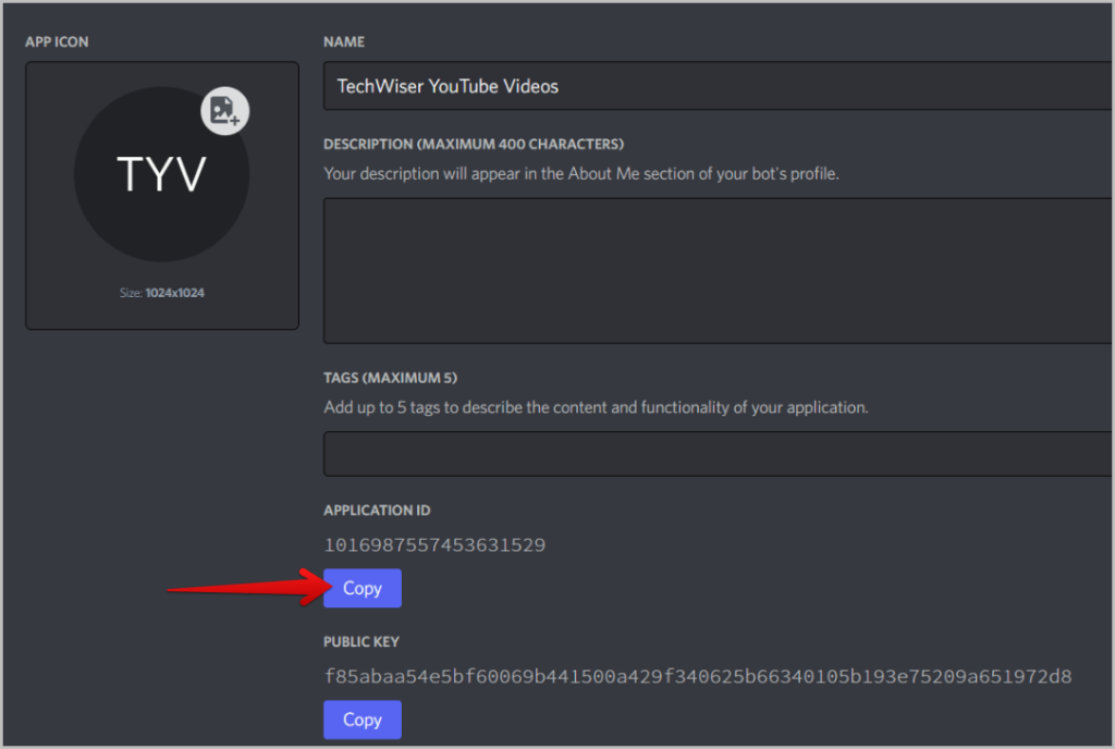 Идентификатор приложения на портале разработчиков Discord