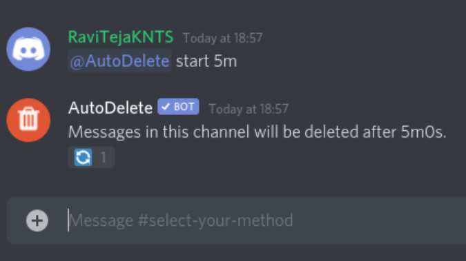 Автоматическое удаление сообщений через 5 минут в Discord