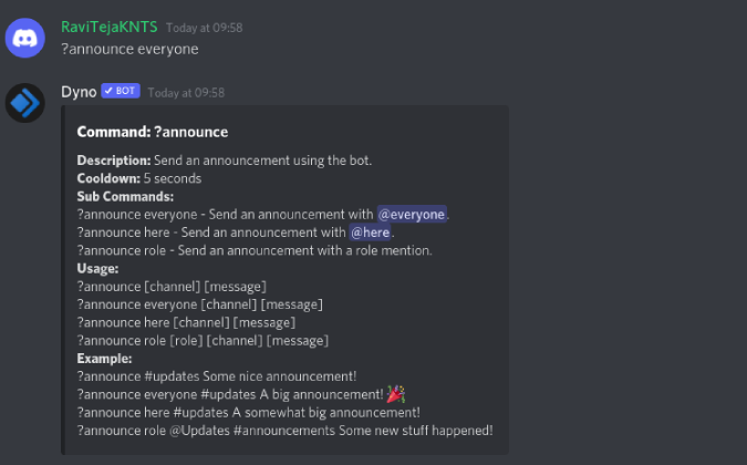 Бот Dyno показывает, как использовать команду