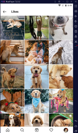 Понравились посты в Instagram в Windows с помощью Nox player