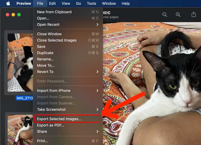 экспортировать выбранные изображения в приложении предварительного просмотра на Mac
