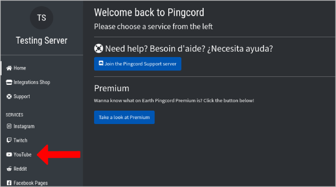 Выбор YouTube на Pingcord