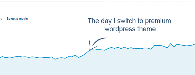рост трафика при обновлении до премиум-темы