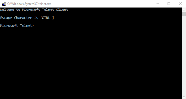 telnet_client_cmd