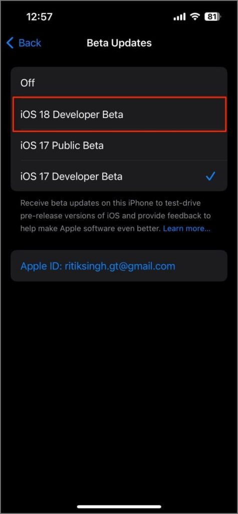 Загрузите обновление бета-версии iOS 18 Developer на iPhone