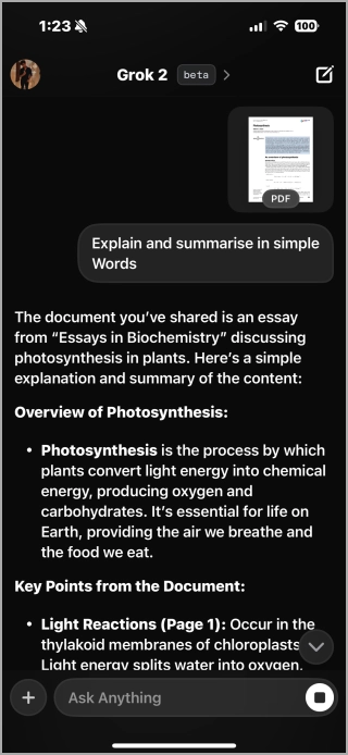 Текстовая сводка в приложении Grok AI для iPhone